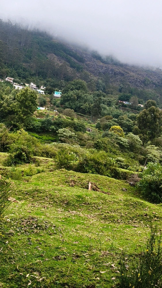 GIF uploaded by Prasanna