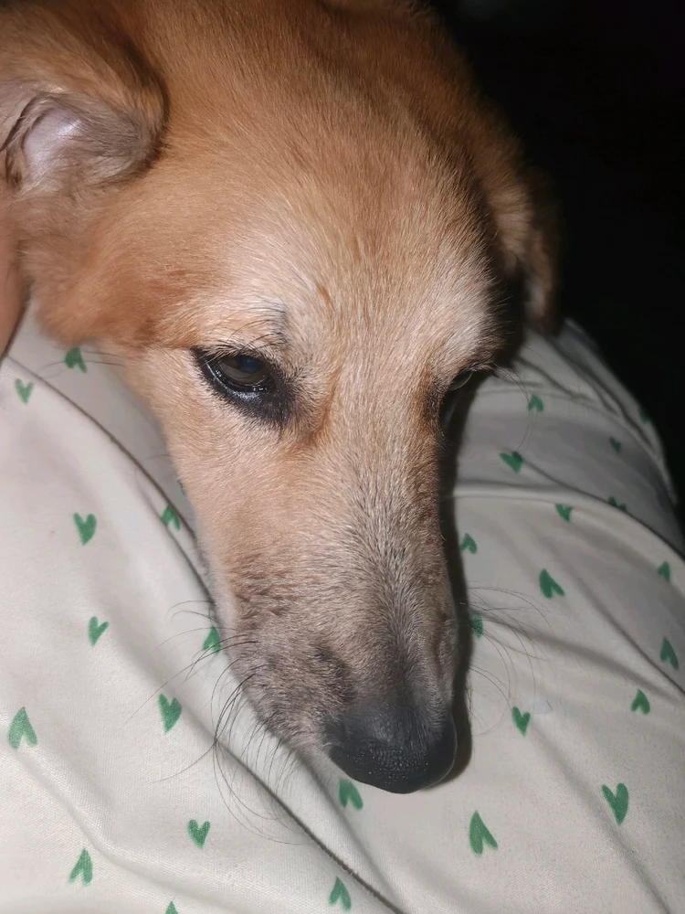 GIF uploaded by Loren