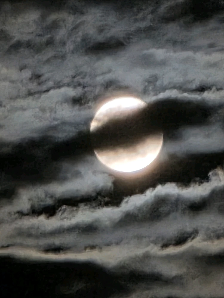 Image uploaded by Alton