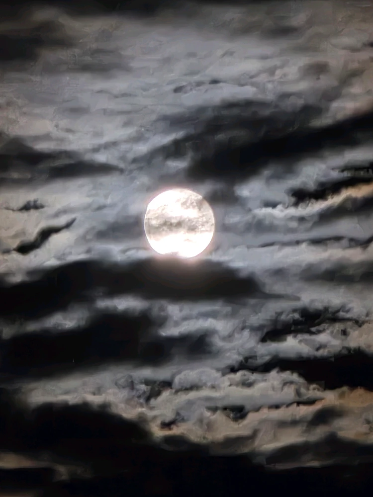 Image uploaded by Alton