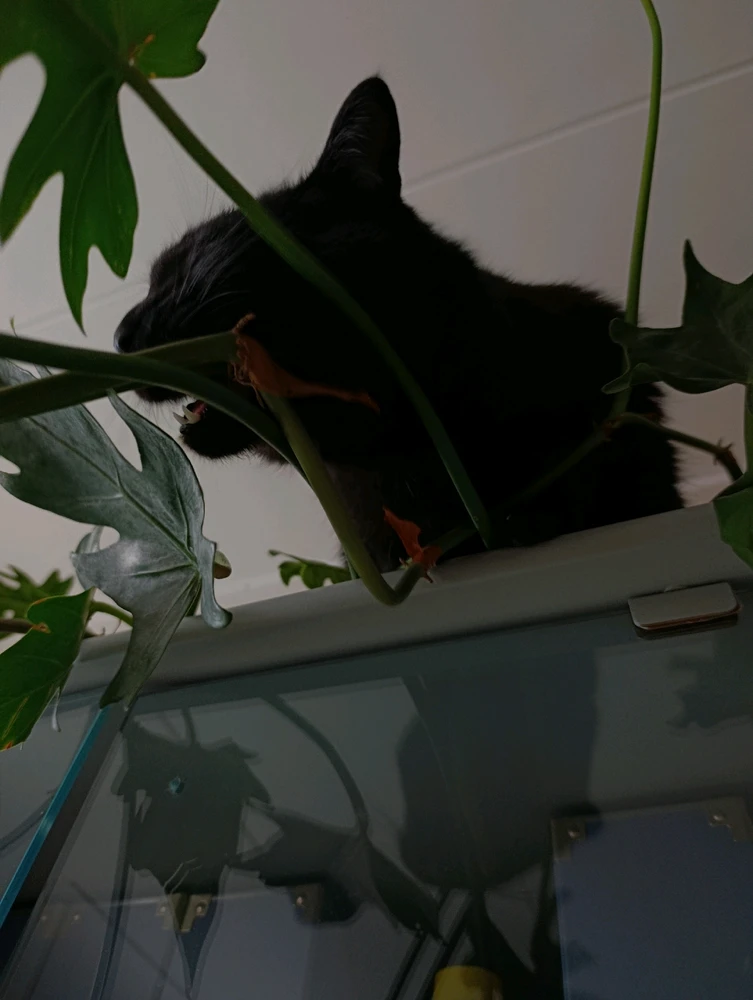 Obrázek nahrál ⭕⭕ Hlubina