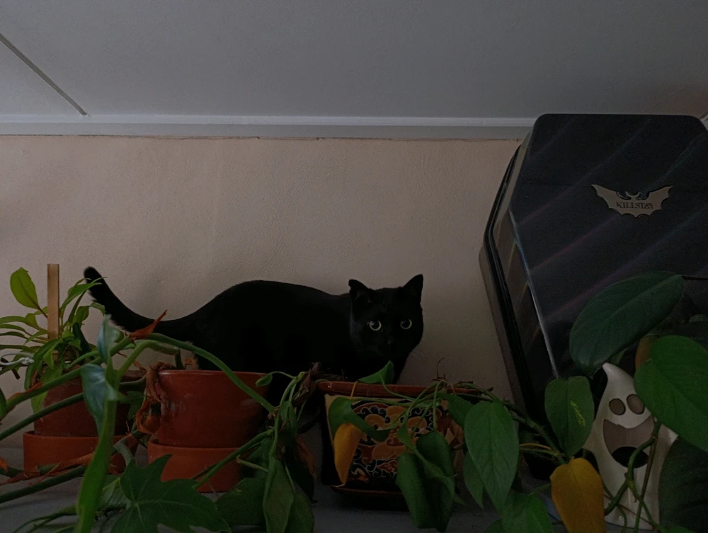 Obrázek nahrál ⭕⭕ Hlubina