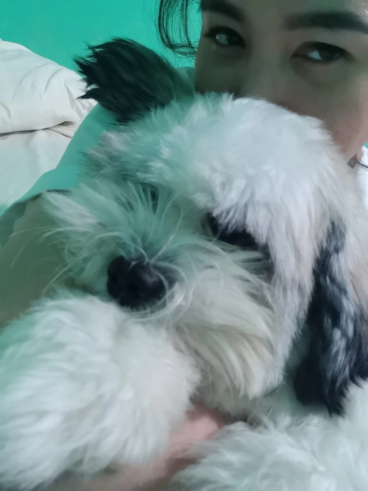 Image uploaded by Ai