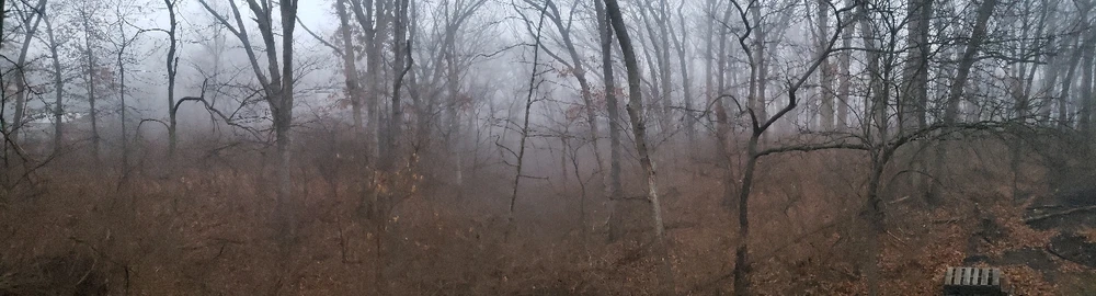 GIF uploaded by Mike