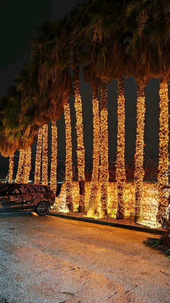 Εικόνα από Ορέστης