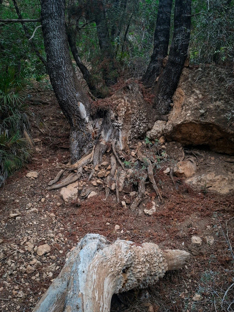 Image ajoutée par Mohamed Amine