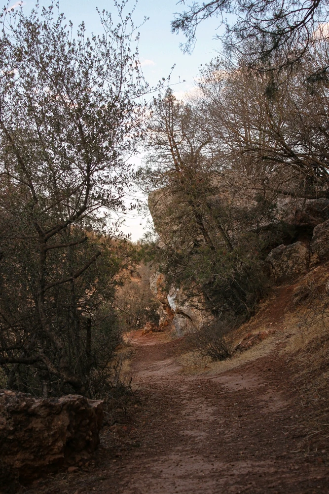 Image ajoutée par Mohamed Amine