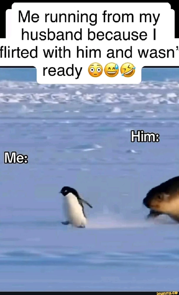 Image uploaded by Heather