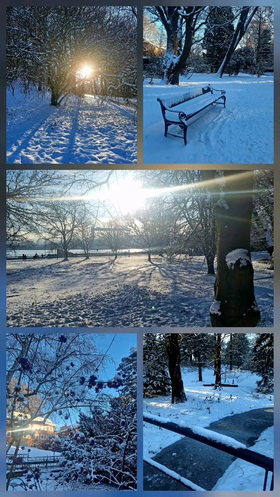 GIF hochgeladen von Eulchen