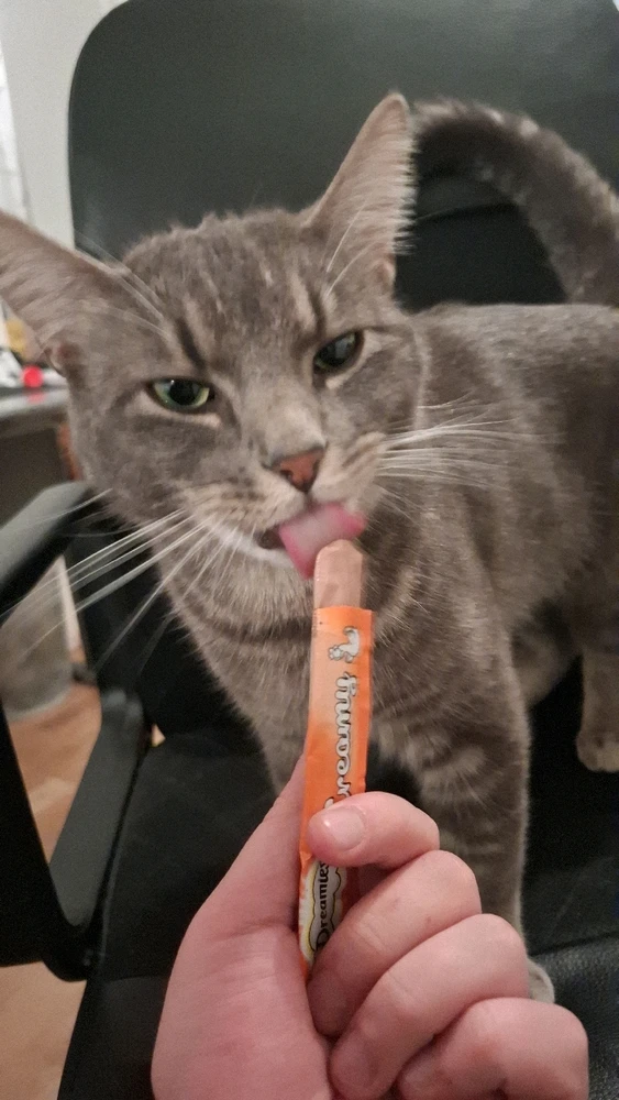 GIF uppladdad av Sam