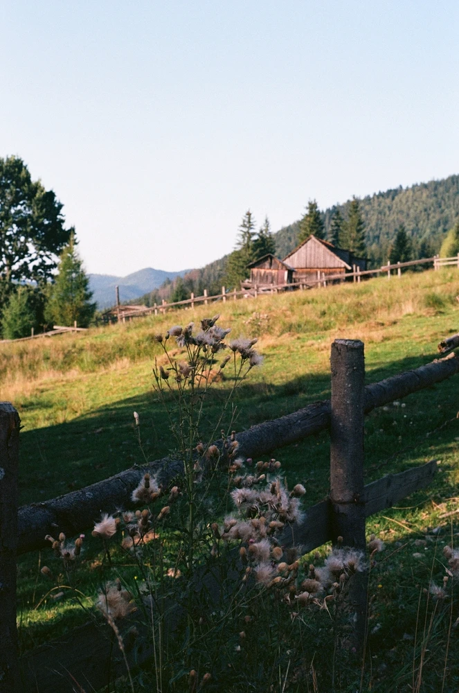 Image uploaded by Liza