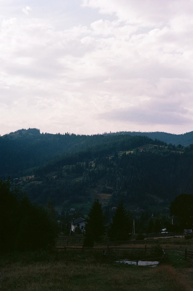 Image uploaded by Liza