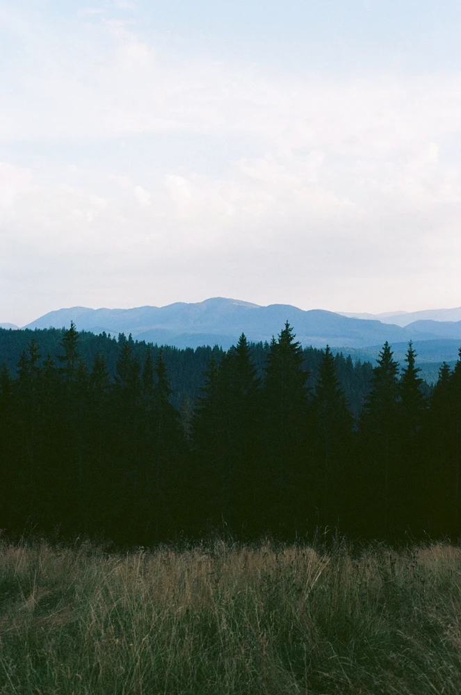 Image uploaded by Liza