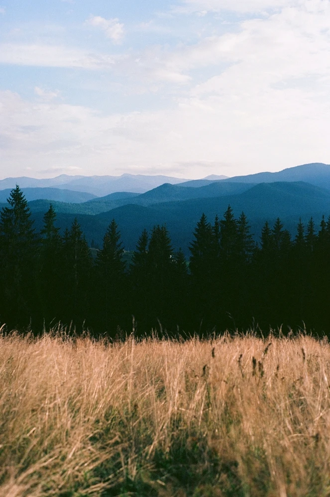 Image uploaded by Liza