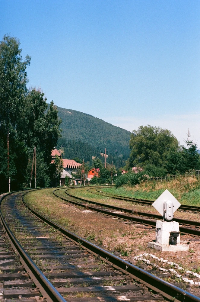 Image uploaded by Liza