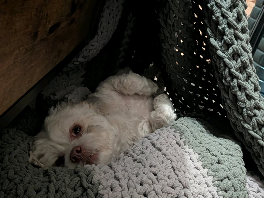 GIF uploaded by London