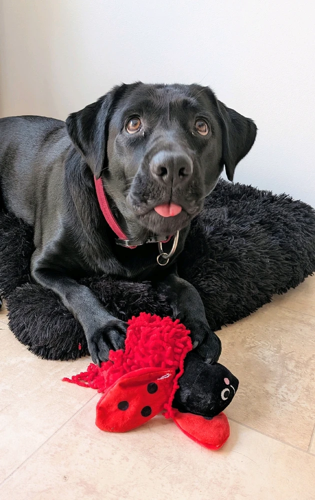 GIF uploaded by Gemma