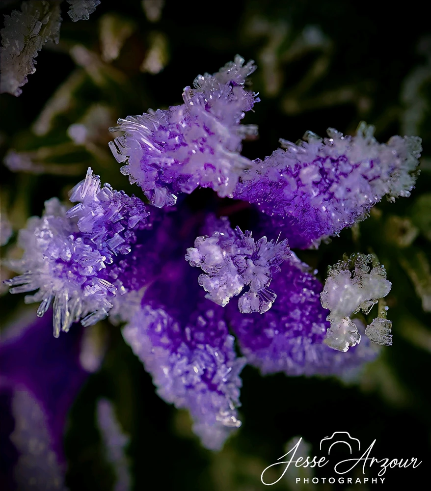 Image uploaded by Jesse