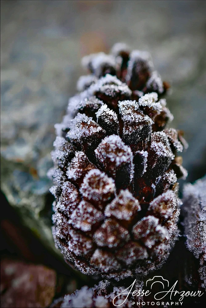 Image uploaded by Jesse