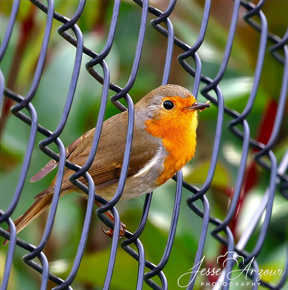 Image uploaded by Jesse