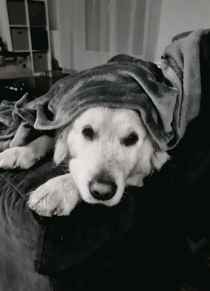 GIF ajouté par Yuhi