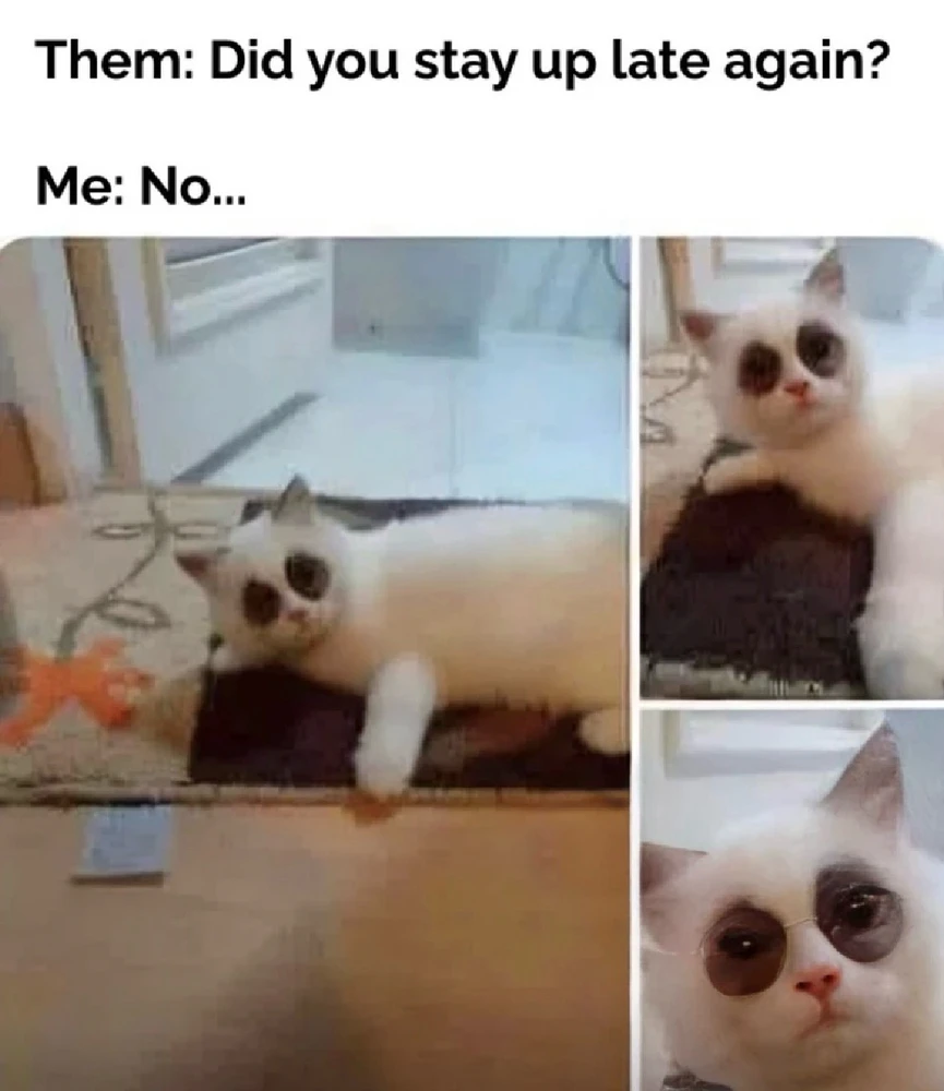 GIF uploaded by Arif