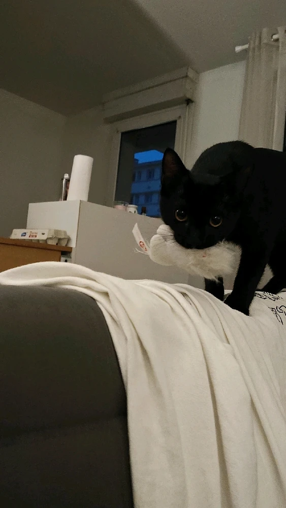 GIF ajouté par Mathieu