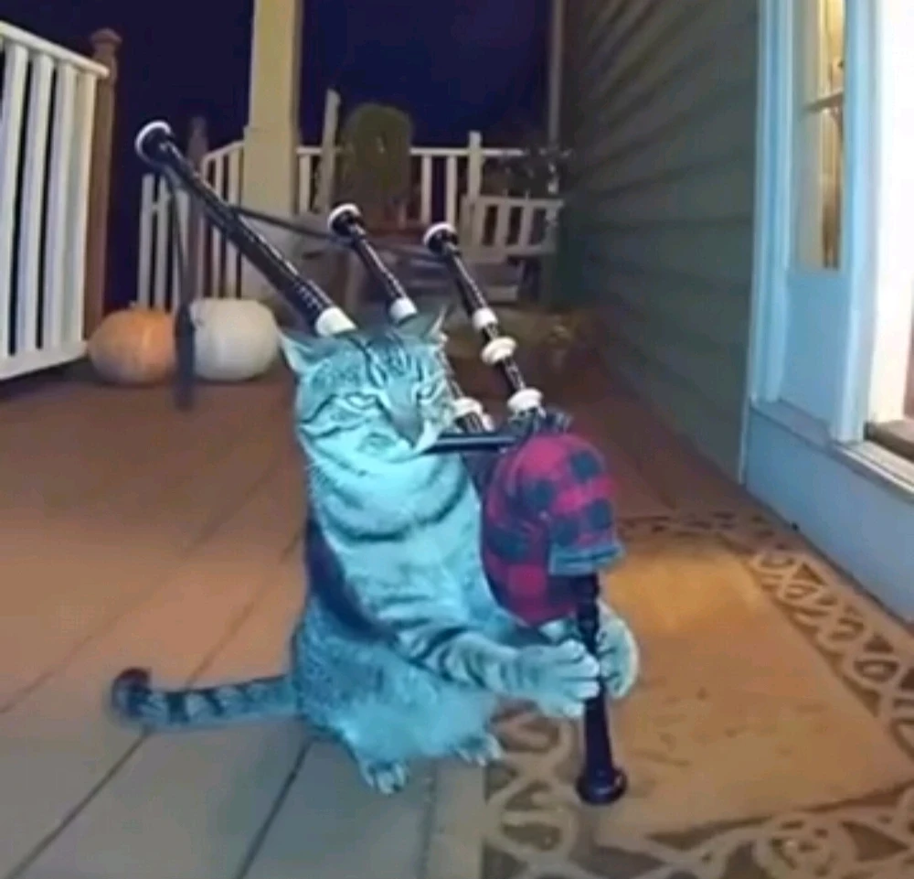 GIF geüpload door Mees