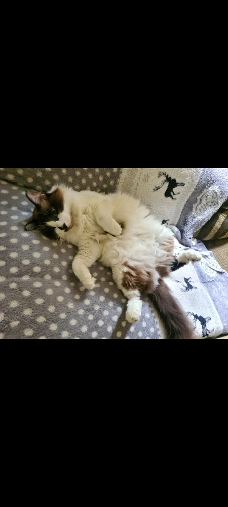 Imagem enviada por João