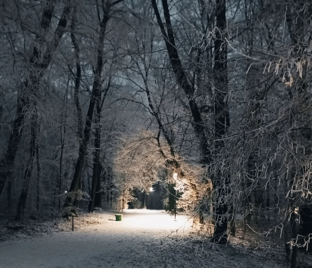 Image uploaded by Ursula