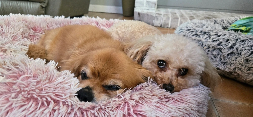 GIF uploaded by Nick