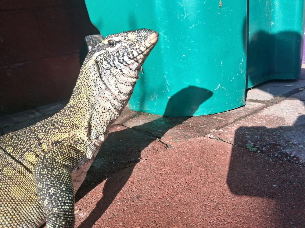 GIF uploaded by Yeshua