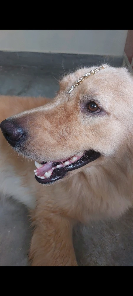 GIF uploaded by Prachi