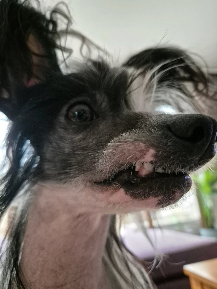 GIF dodany przez Paula