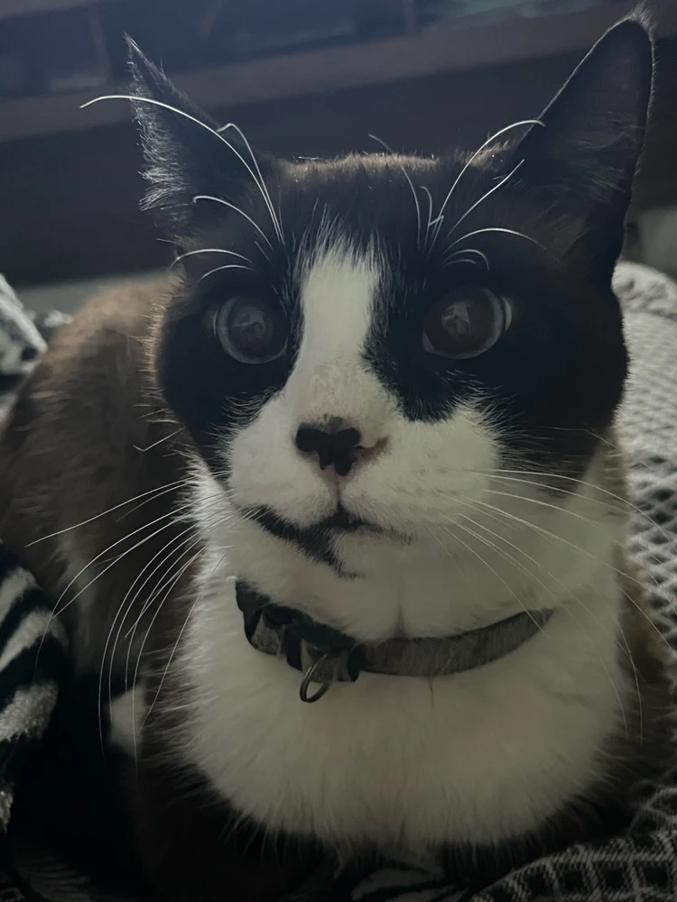 Imagem enviada por Vitoria