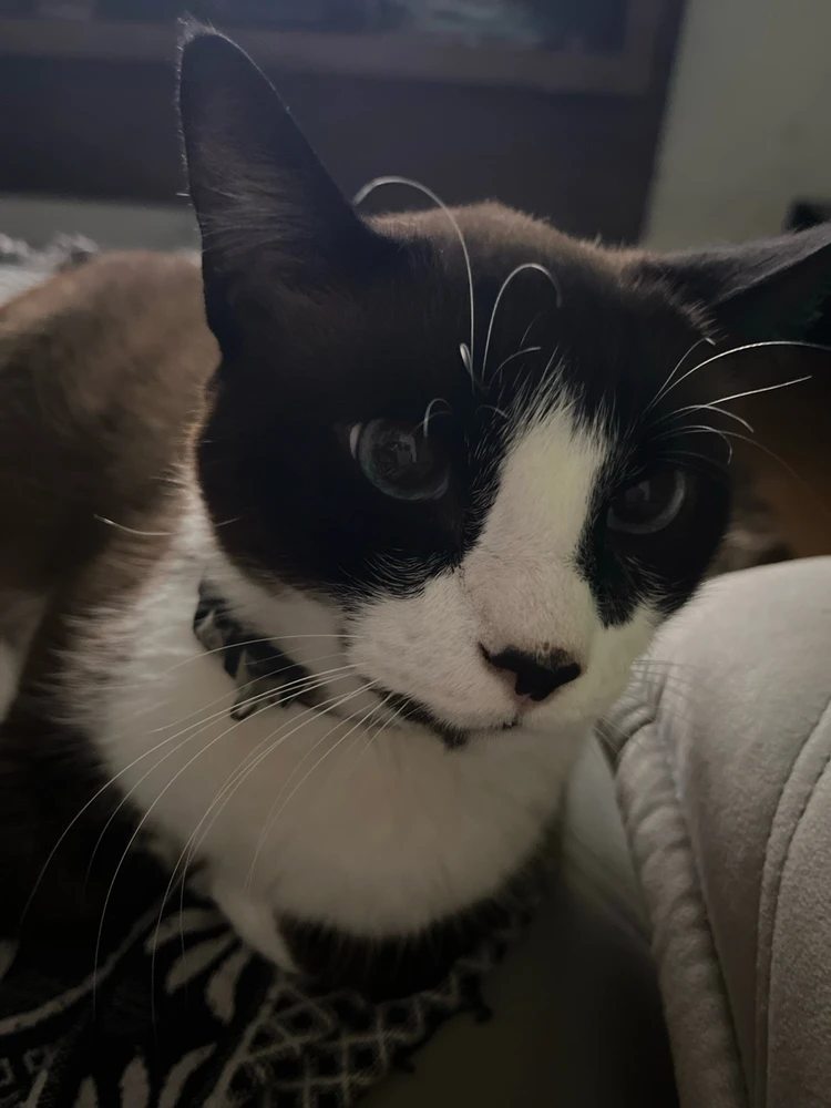 Imagem enviada por Vitoria