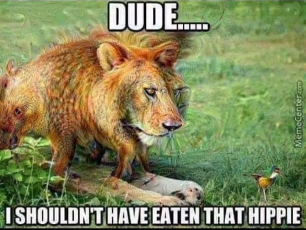 Image uploaded by Fredric