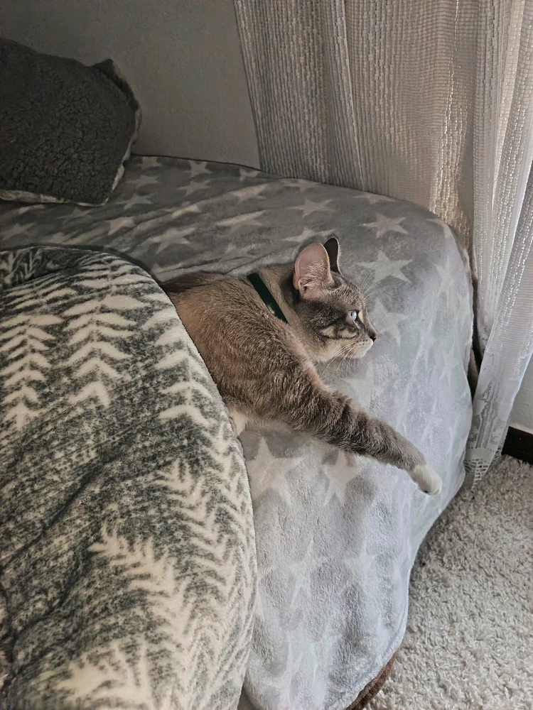 Imagen subida por Rodrigo