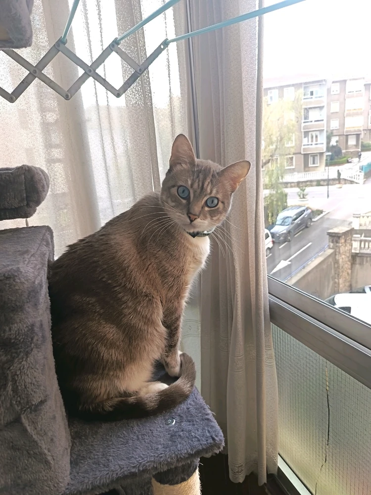 Imagen subida por Rodrigo