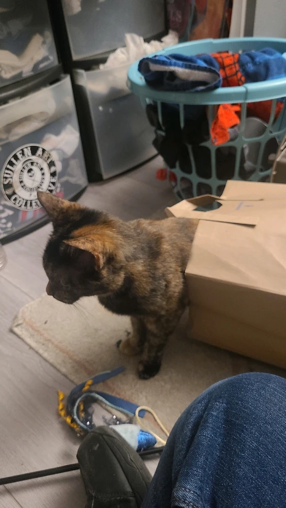 GIF uploaded by Justin