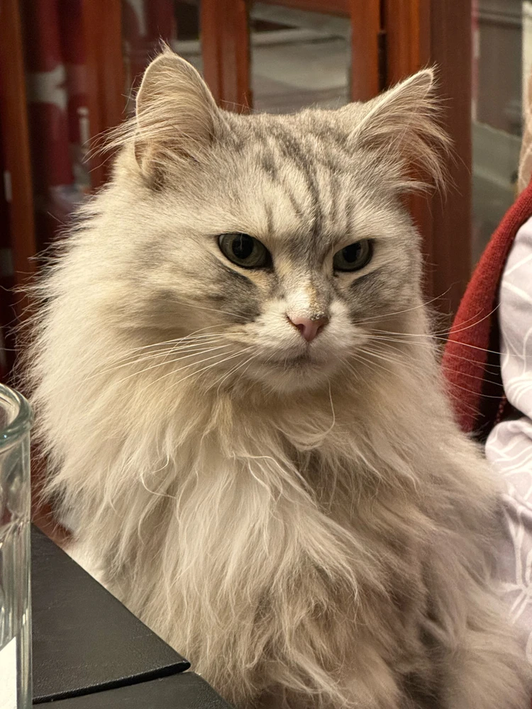 Image uploaded by Brandon