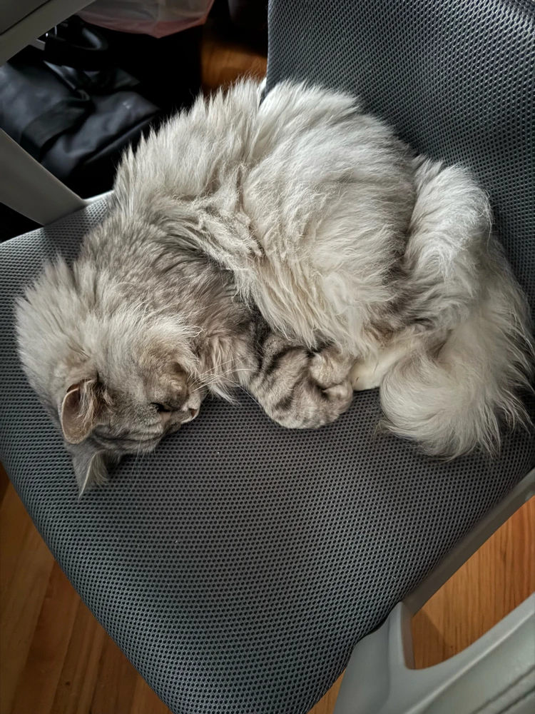 Image uploaded by Brandon