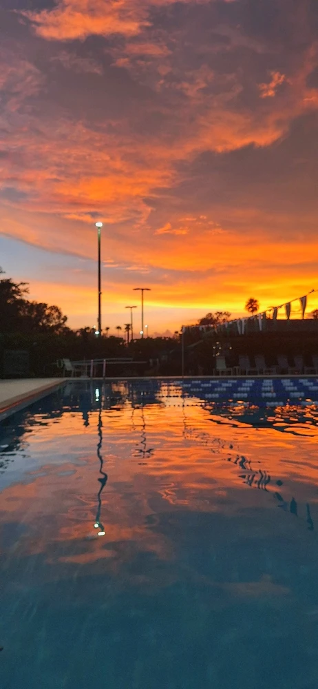 GIF uploaded by Successful