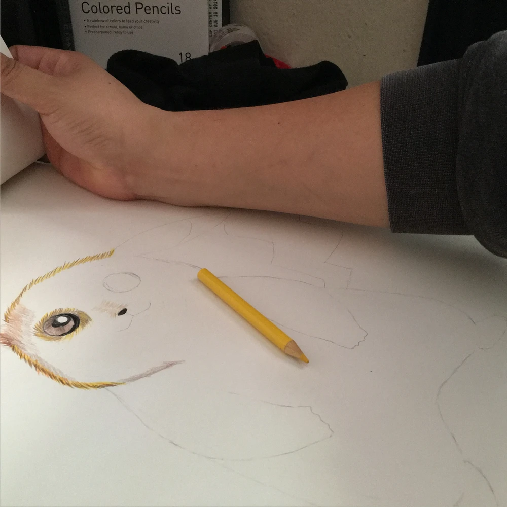 Image uploaded by isaias