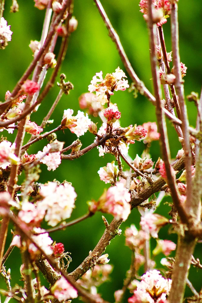 GIF uploaded by Parker