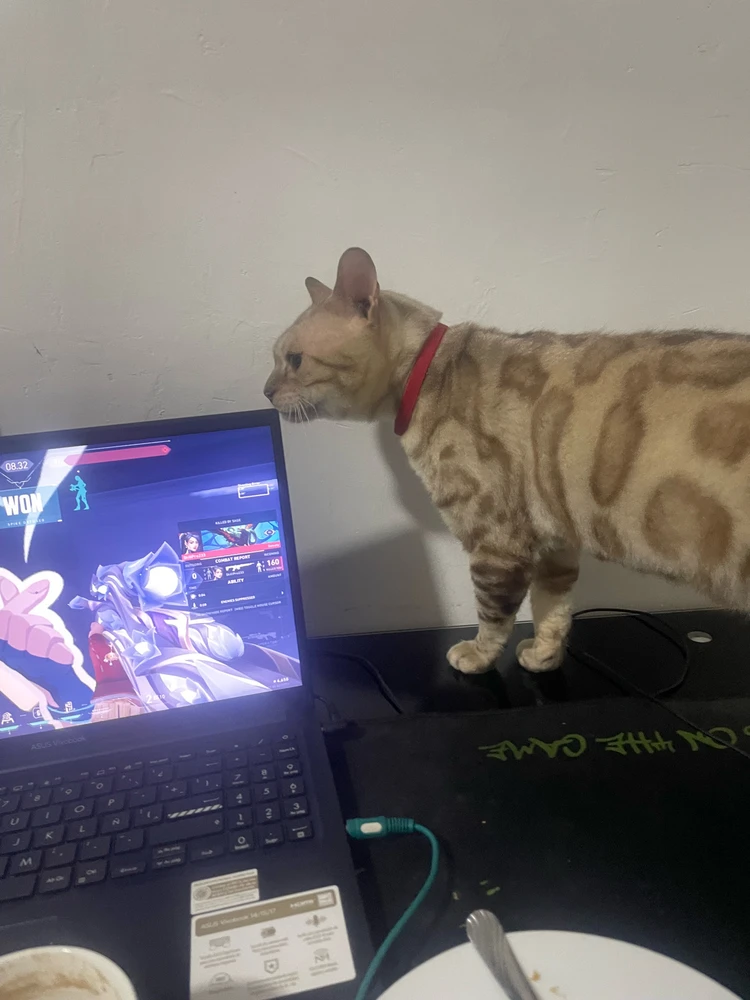 GIF uploaded by Héctor