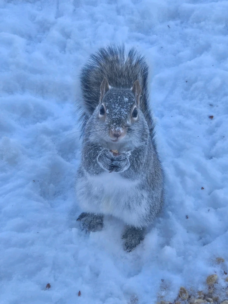 GIF uploaded by Jake