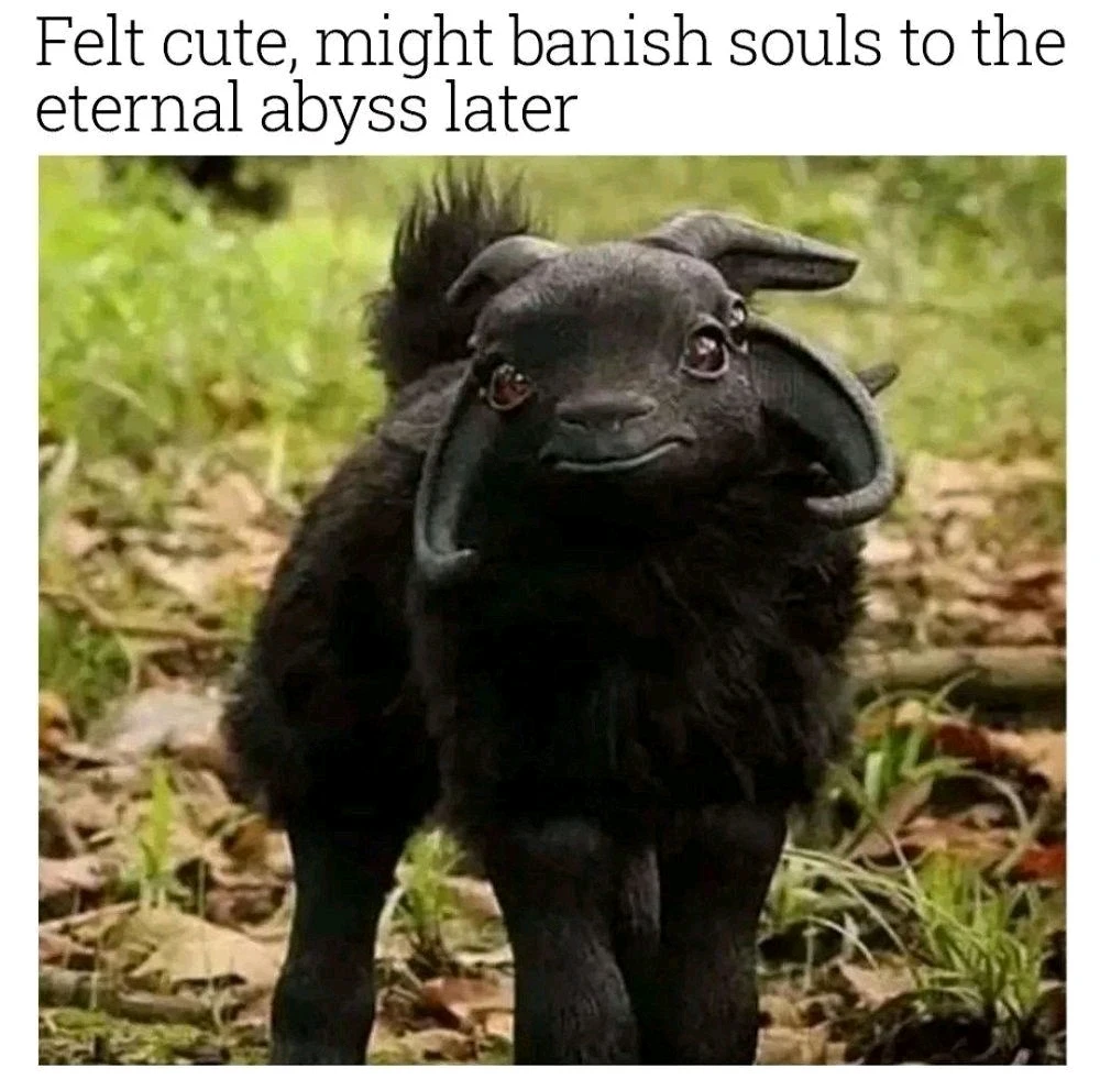 GIF uploaded by A༗🂡⏳