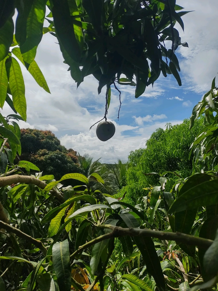 GIF uploaded by Brie