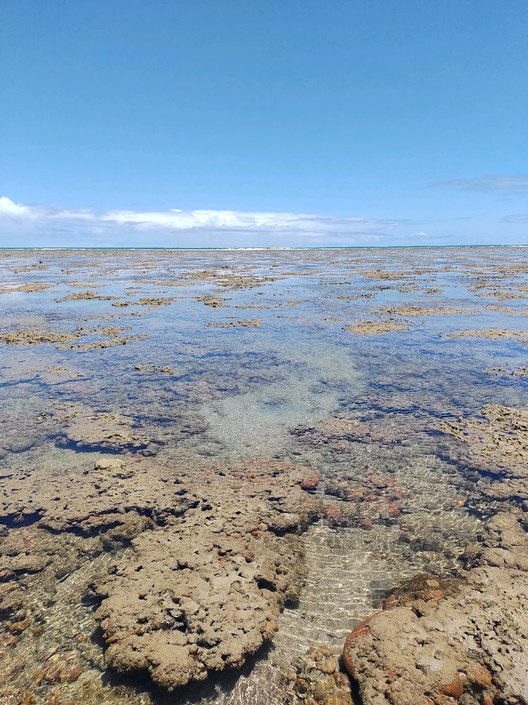 GIF uploaded by Brie